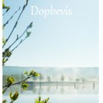 dopbevis-1
