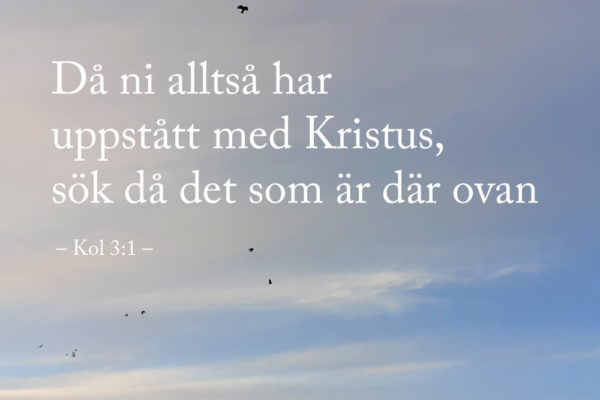 Vi har uppstått med Kristus